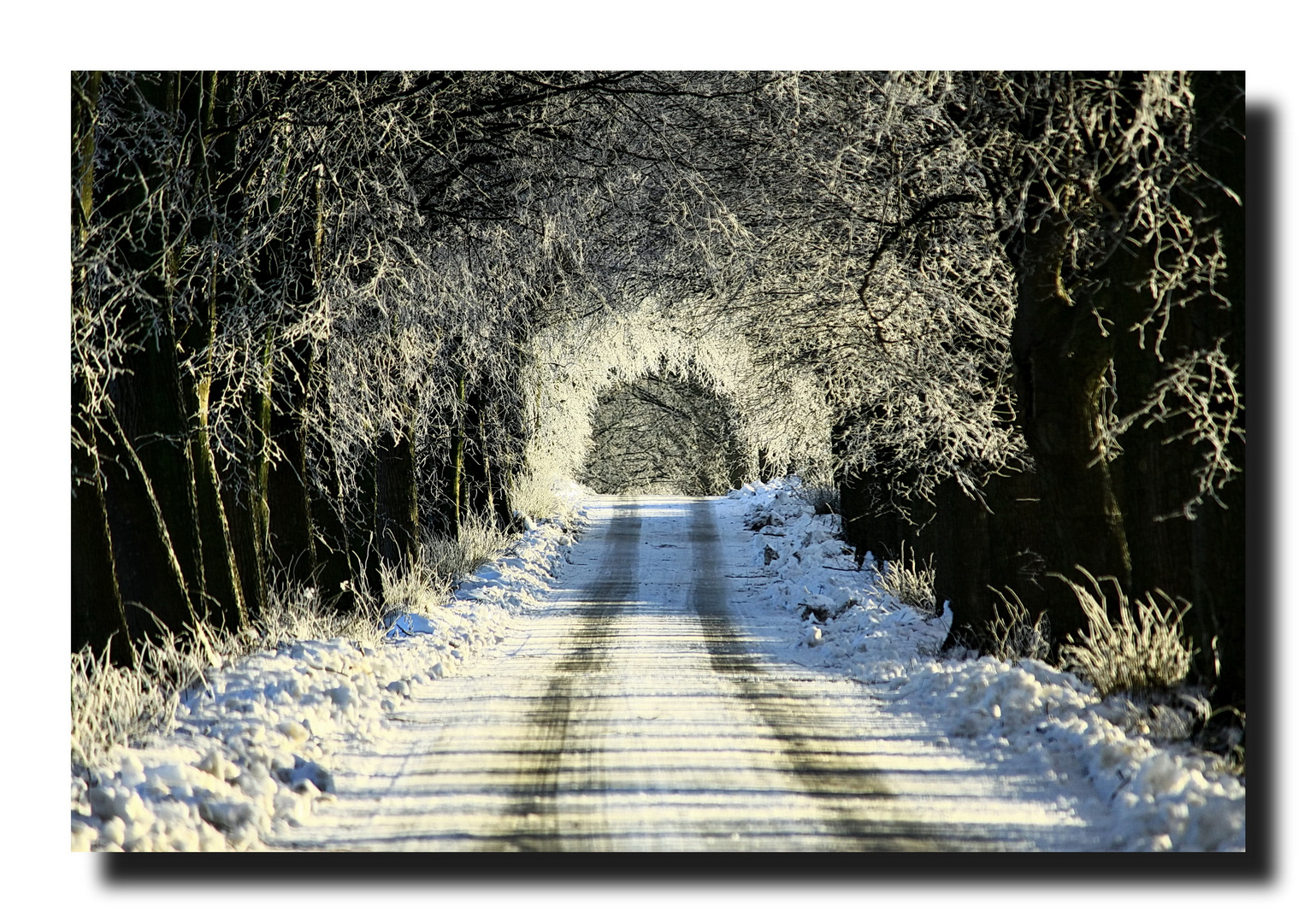 Winterweg