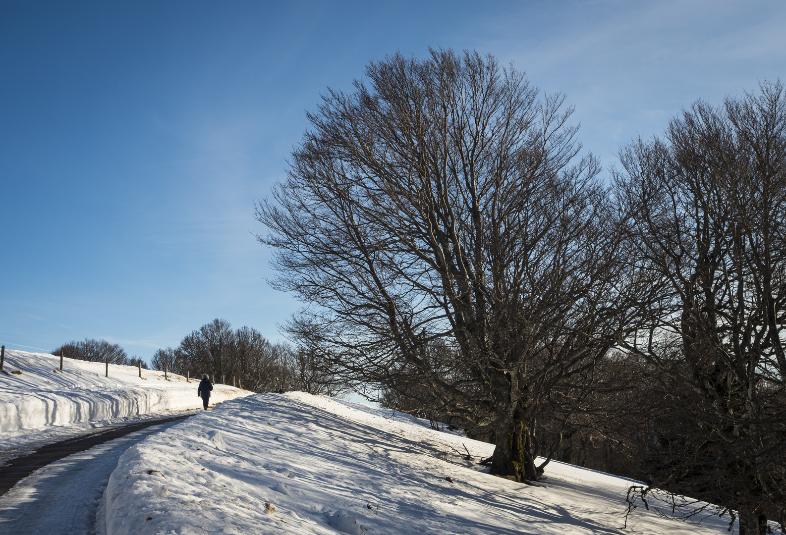 Winterweg