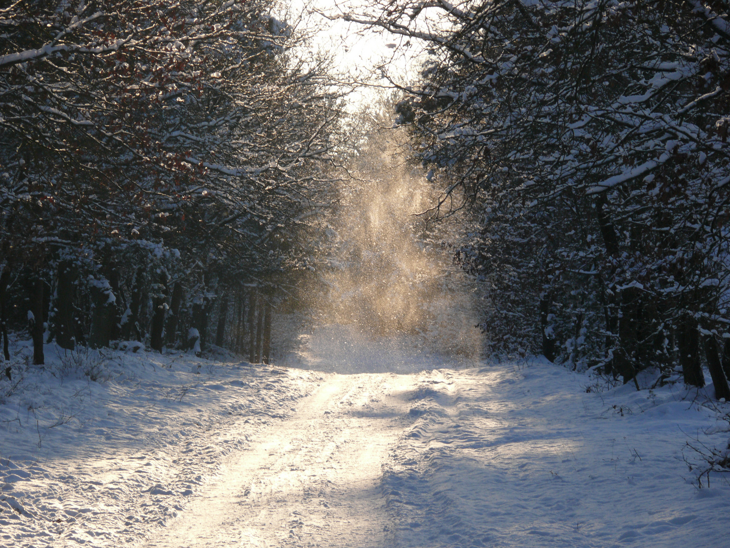 Winterweg