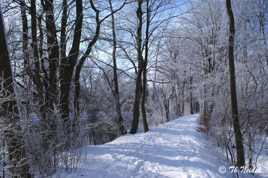 Winterweg