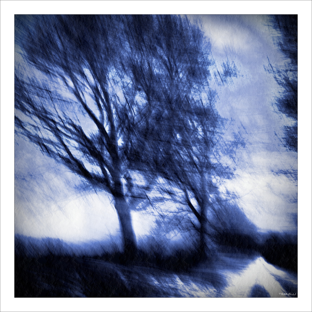 Winterweg # 2