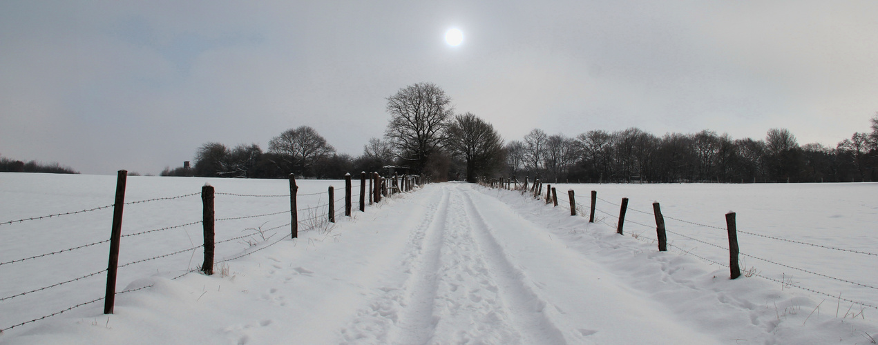 Winterweg 2