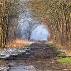 Winterweg 2