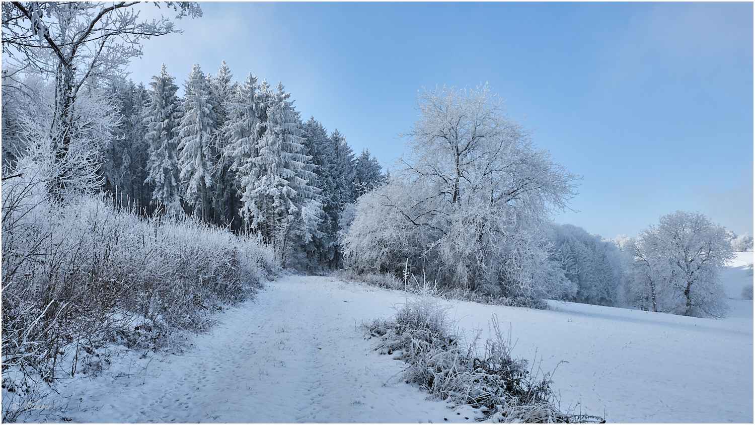 Winterweg 2