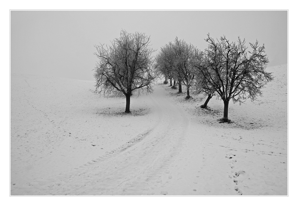 Winterweg