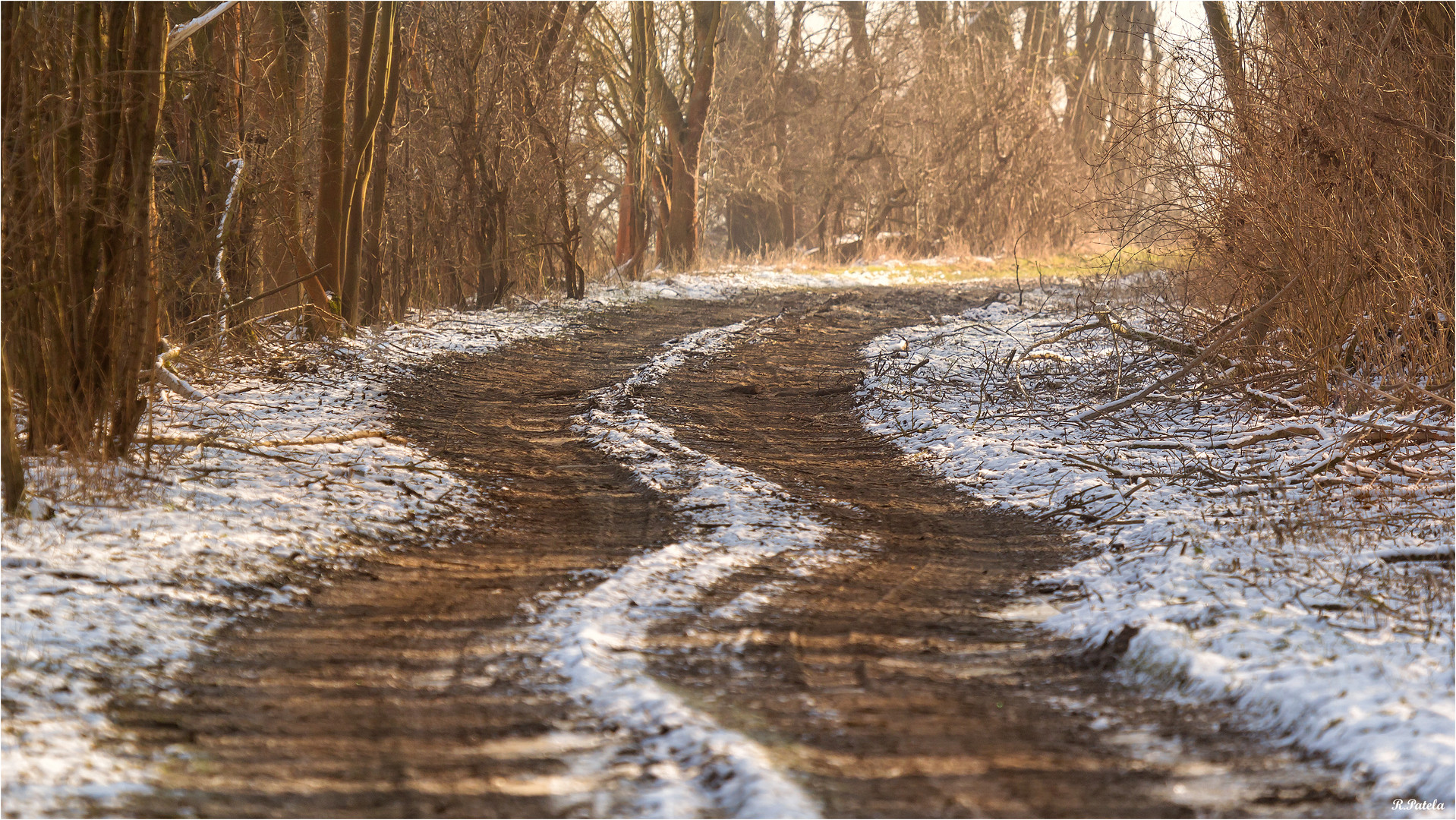 Winterweg Foto & Bild weg, natur, landschaft Bilder auf