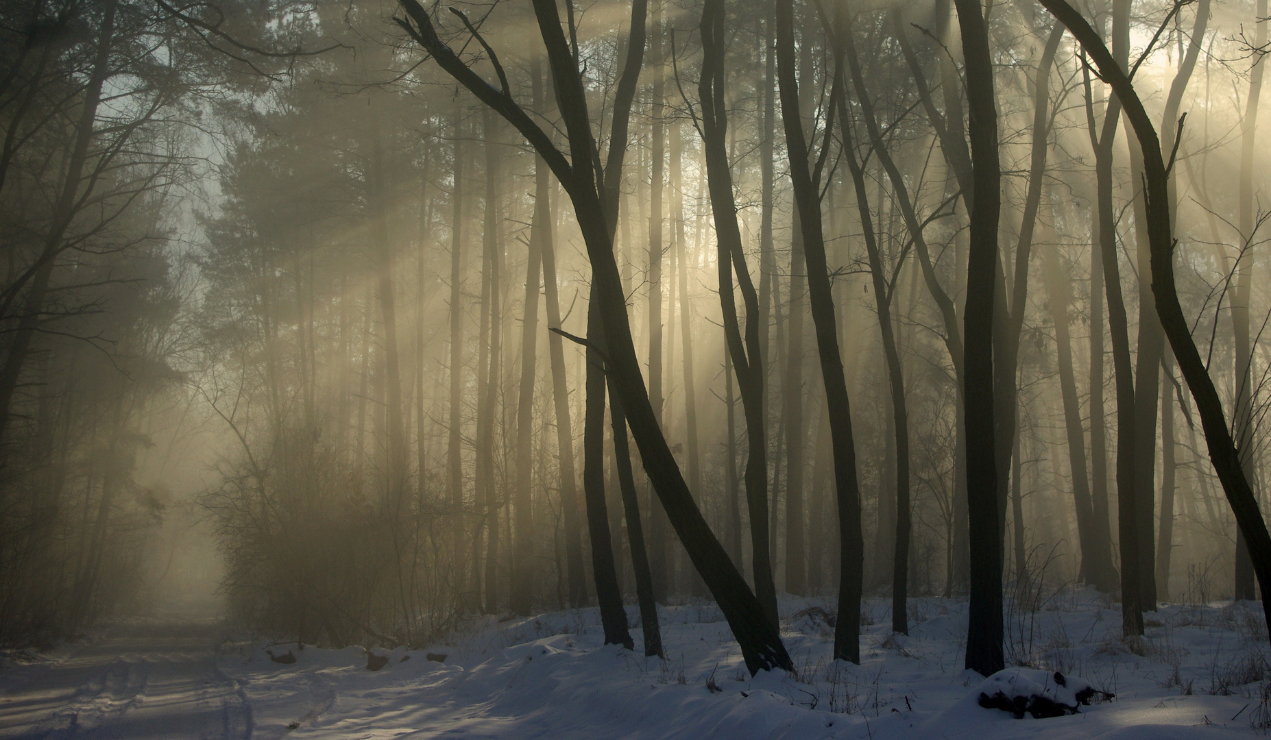 Winterweg...