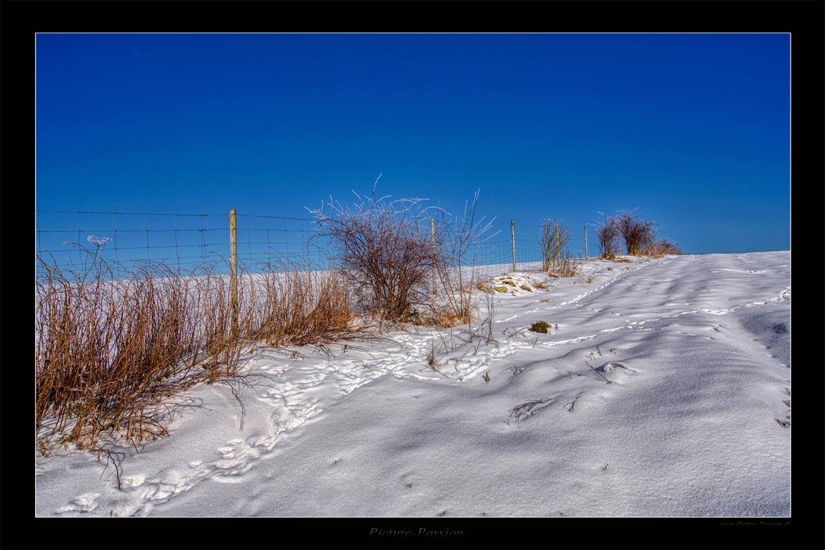 Winterweg