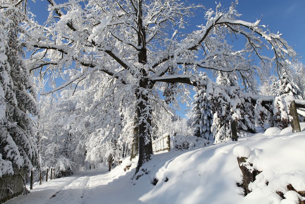 Winterweg