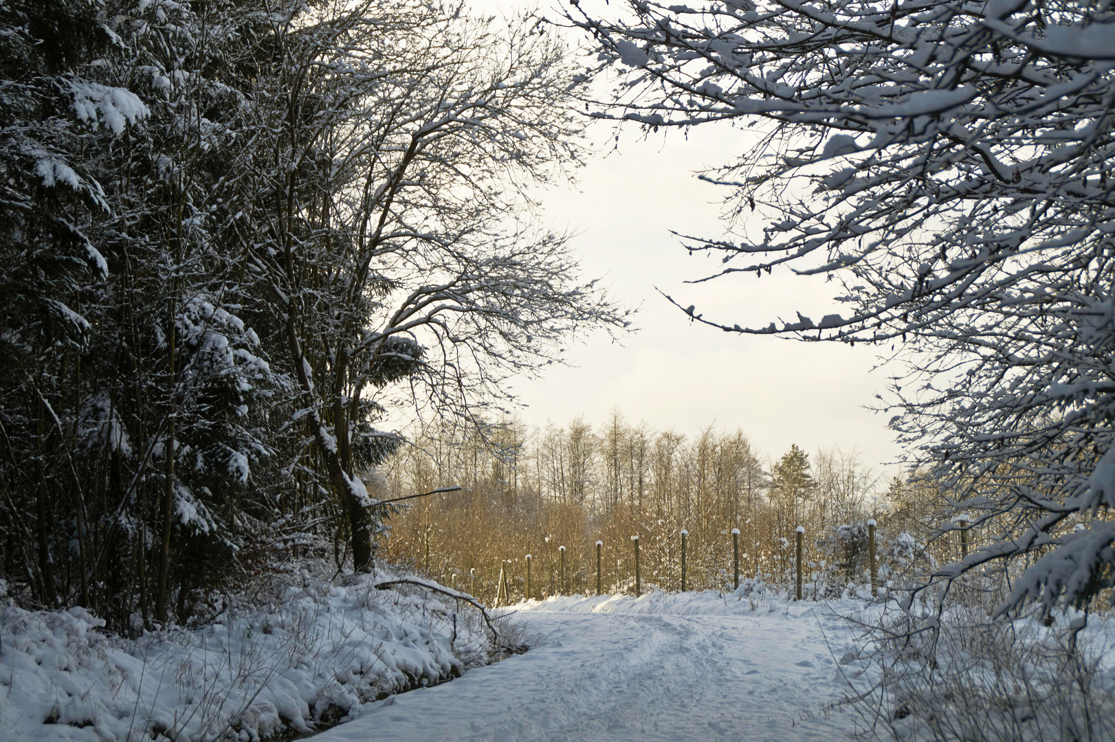 Winterweg