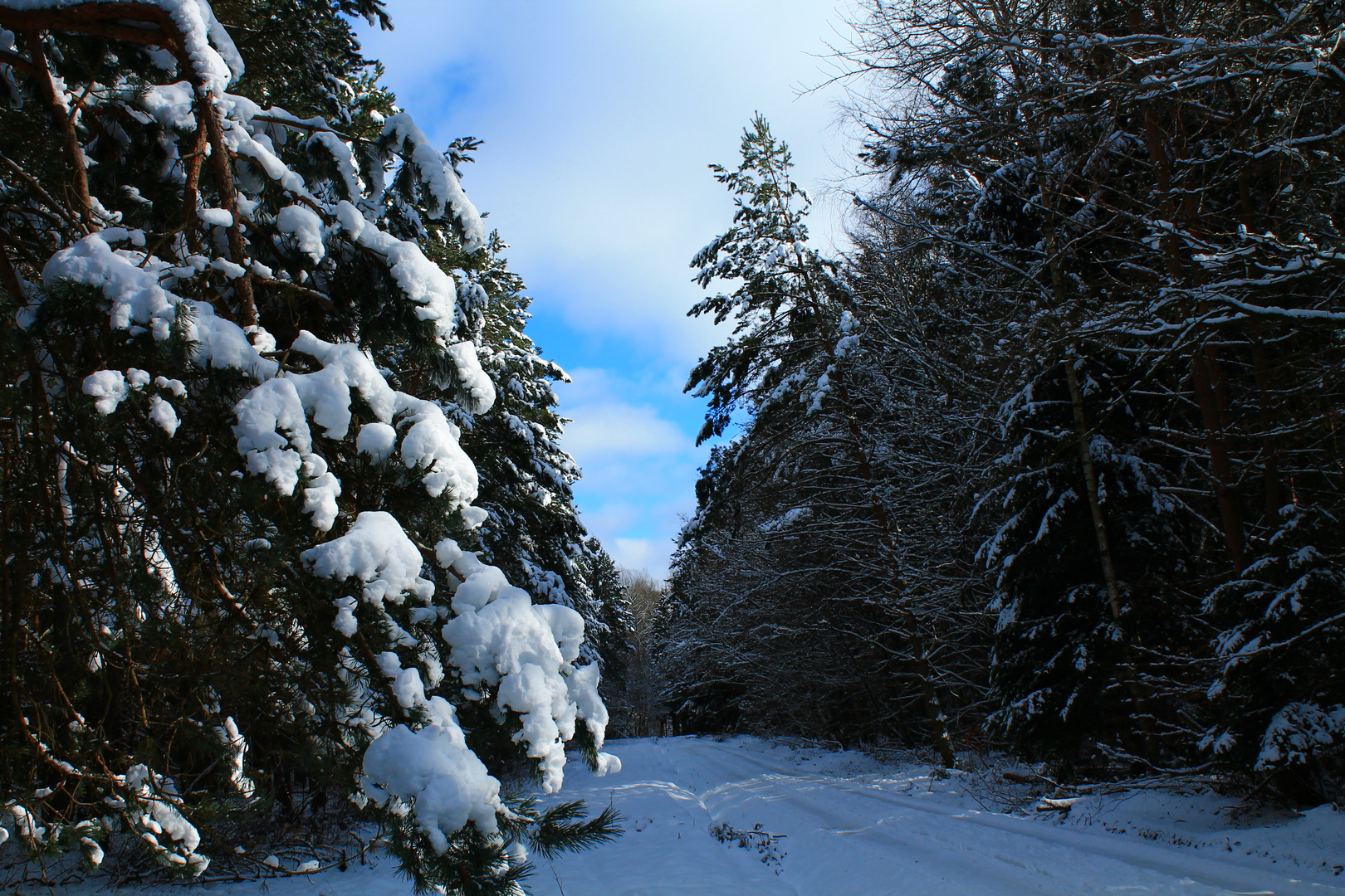 Winterweg