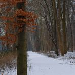 Winterweg