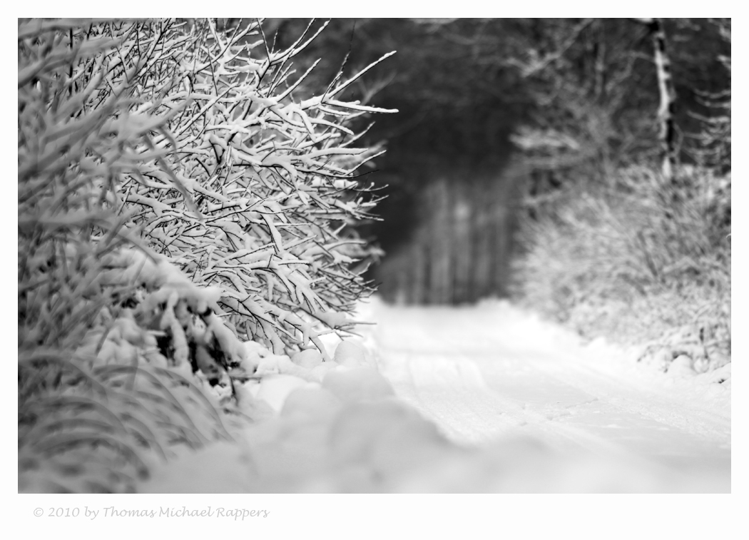 ** Winterweg **