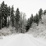 Winterweg