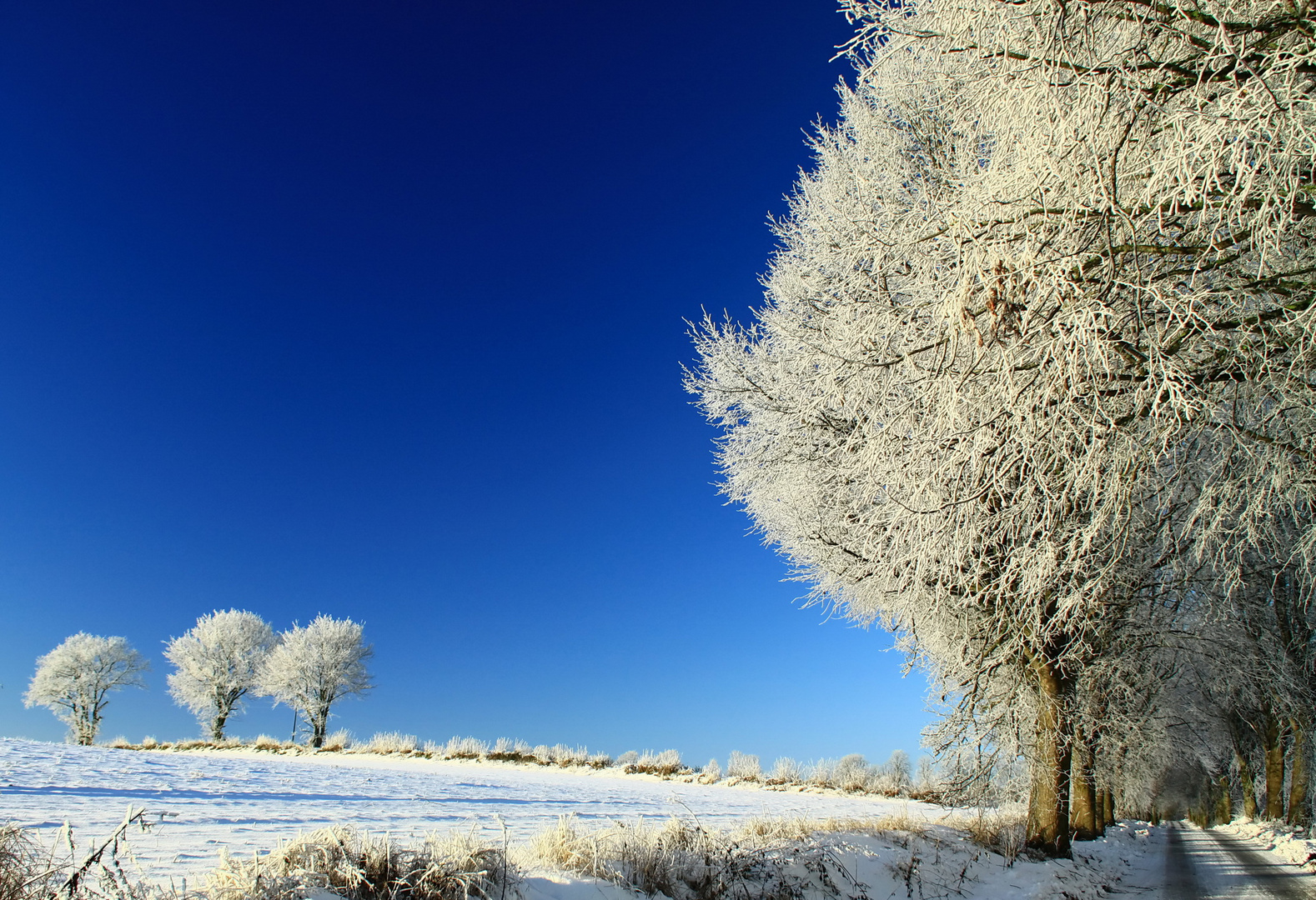 Winterweg