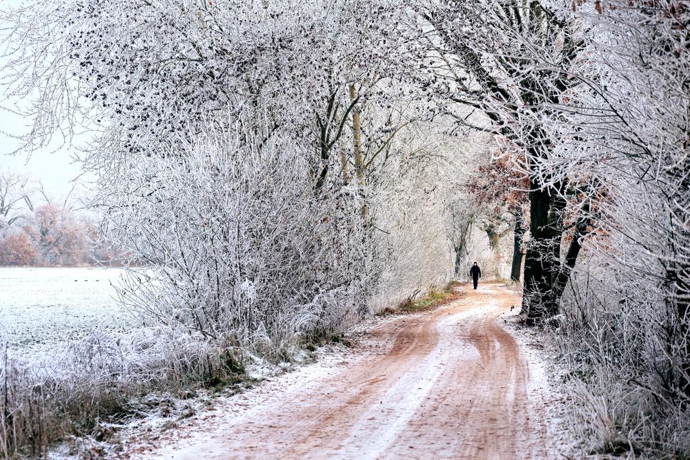 Winterweg