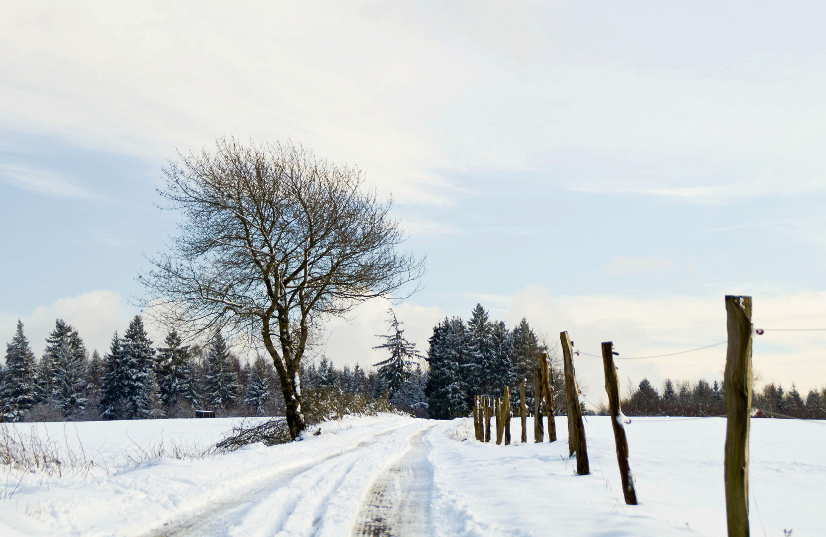 Winterweg...