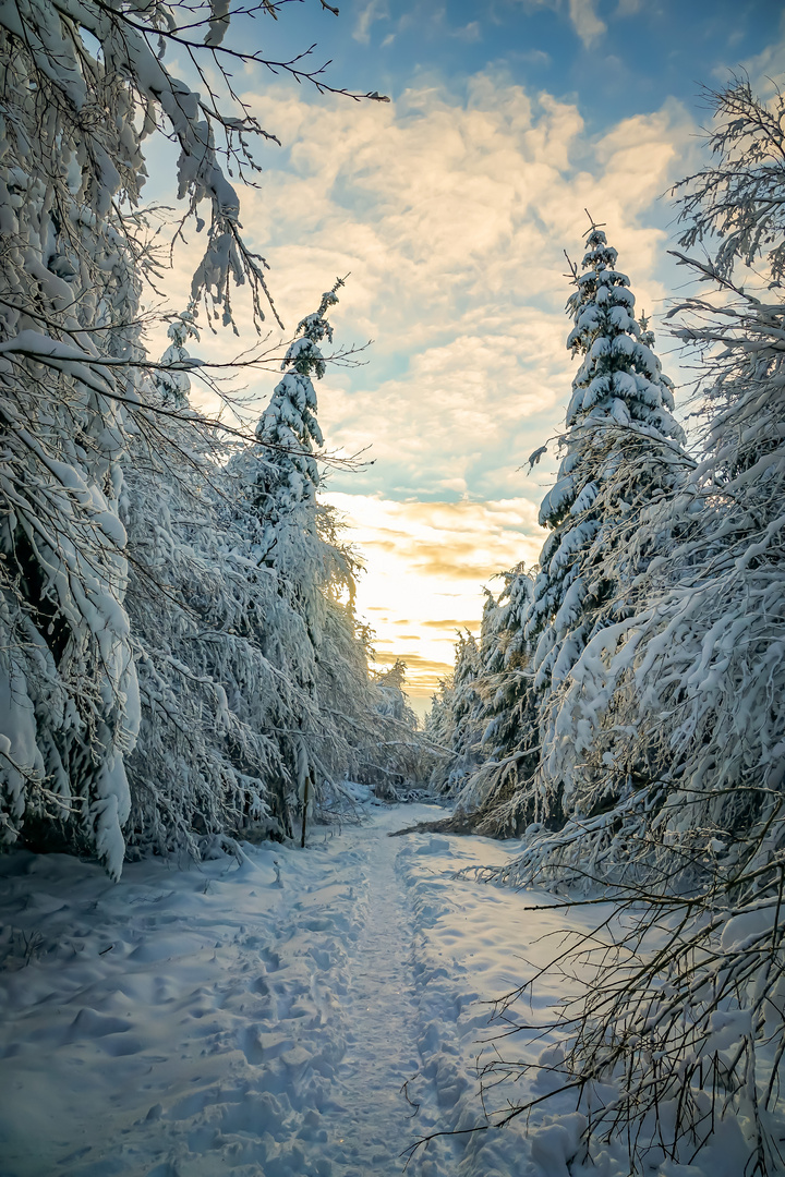 Winterweg