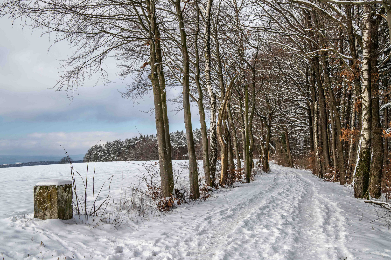 Winterweg