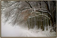 Winterweg