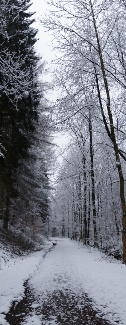 Winterweg