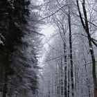 Winterweg