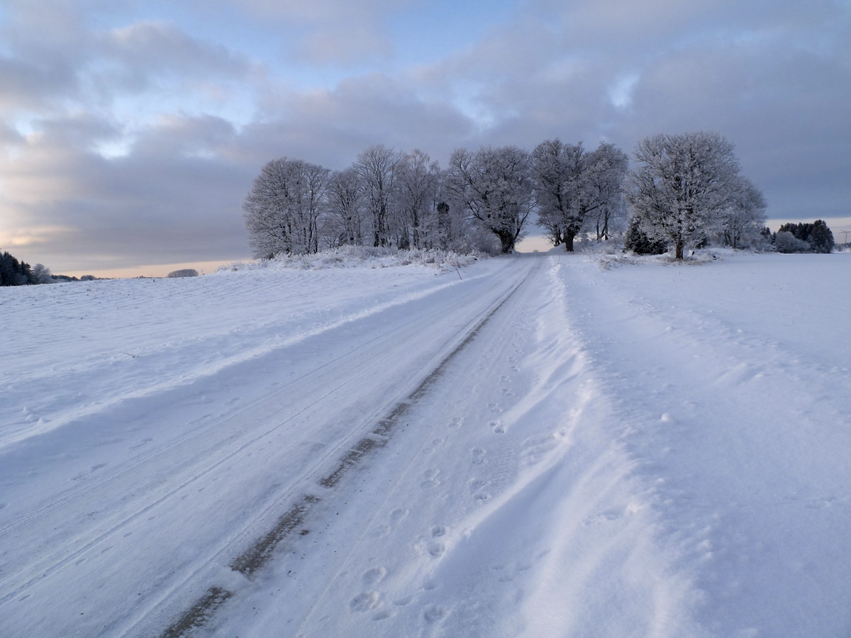 Winterweg