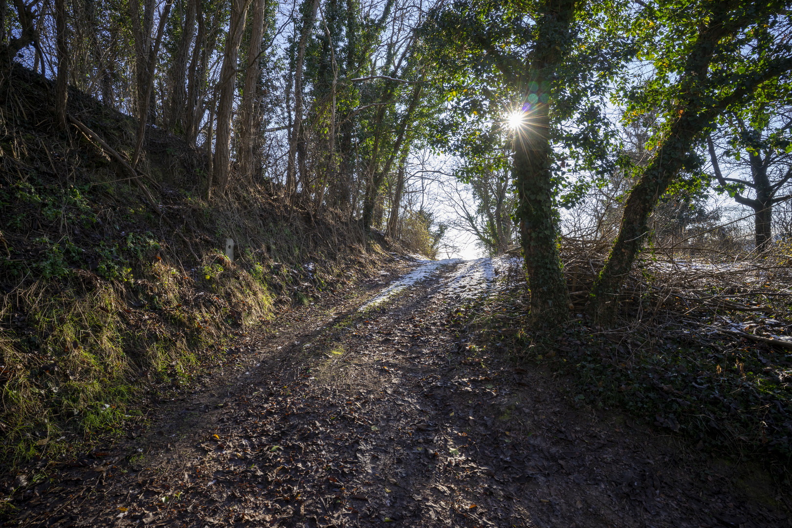 Winterweg