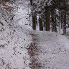 Winterweg