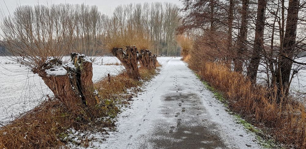 Winterweg