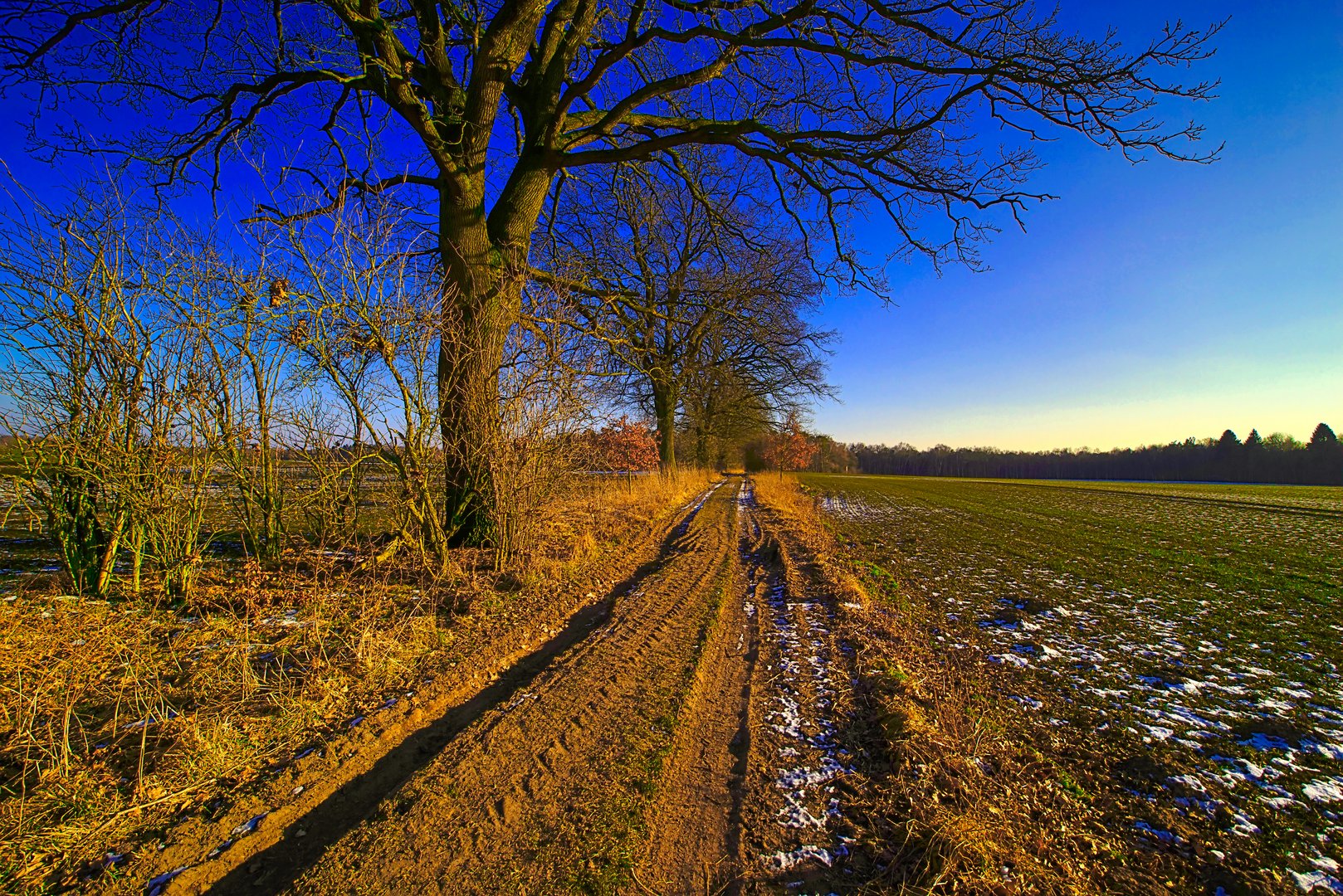 Winterweg am Abend