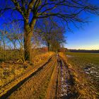 Winterweg am Abend