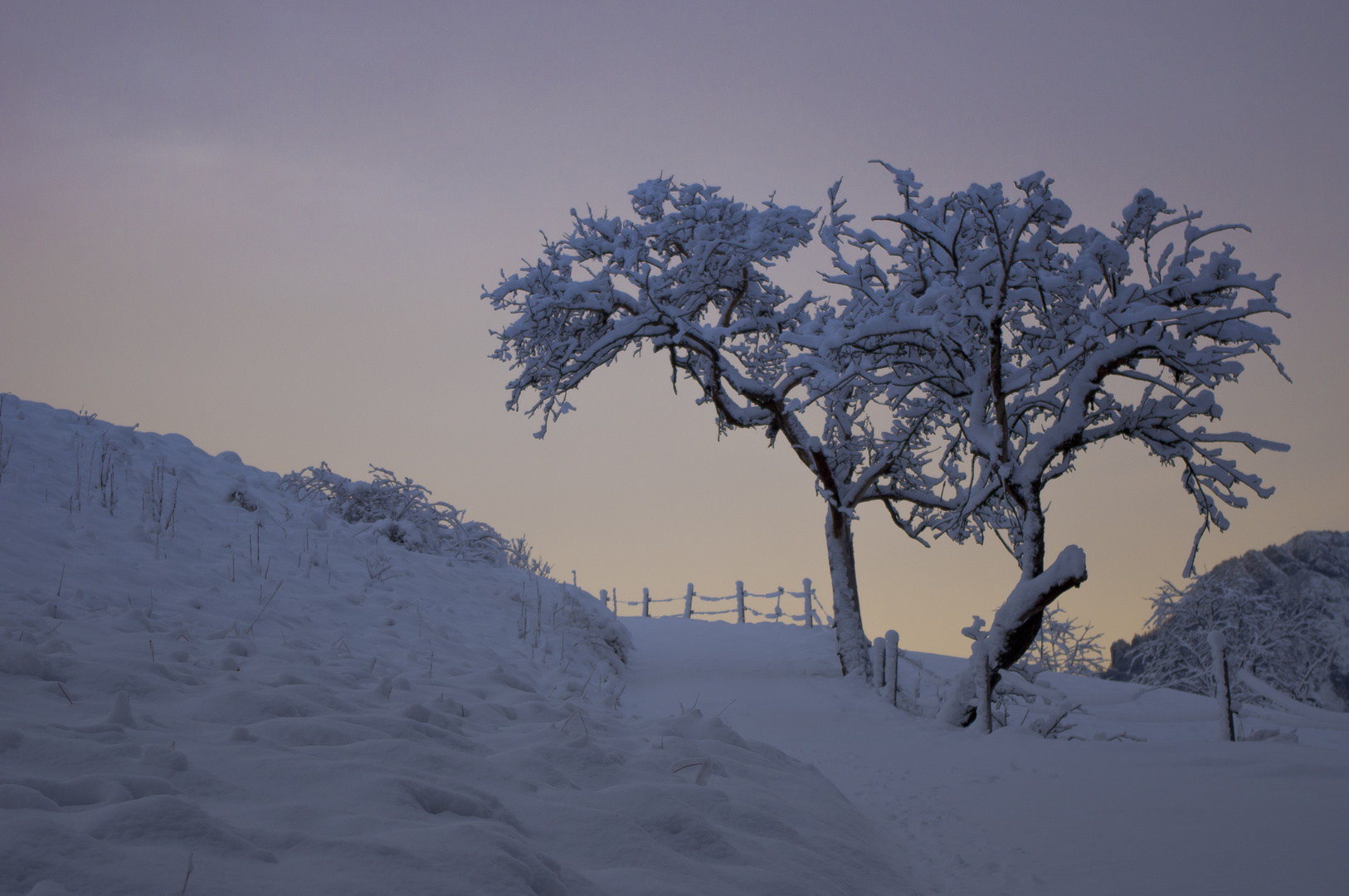 Winterweg am Morgen