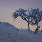 Winterweg am Morgen