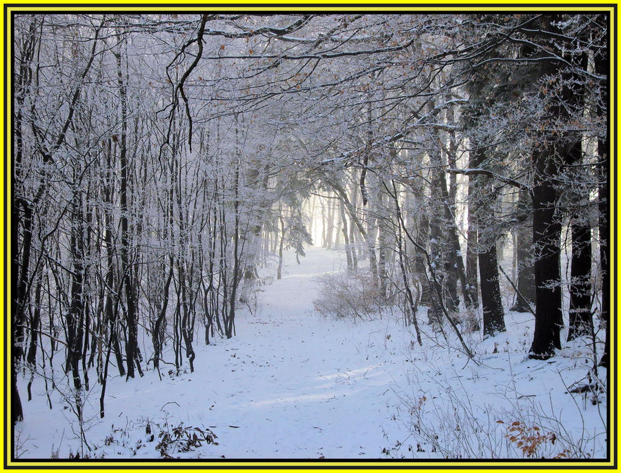 Winterweg am Plabutsch