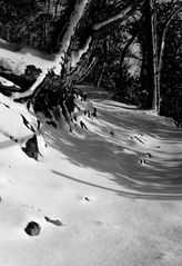 Winterweg am Rotenfels