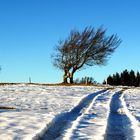 Winterweg auf dem Schauinsland.