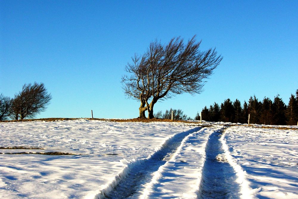 Winterweg auf dem Schauinsland.