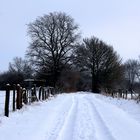 Winterweg