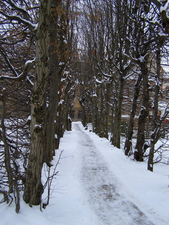 Winterweg