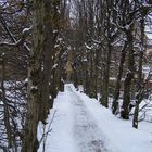 Winterweg