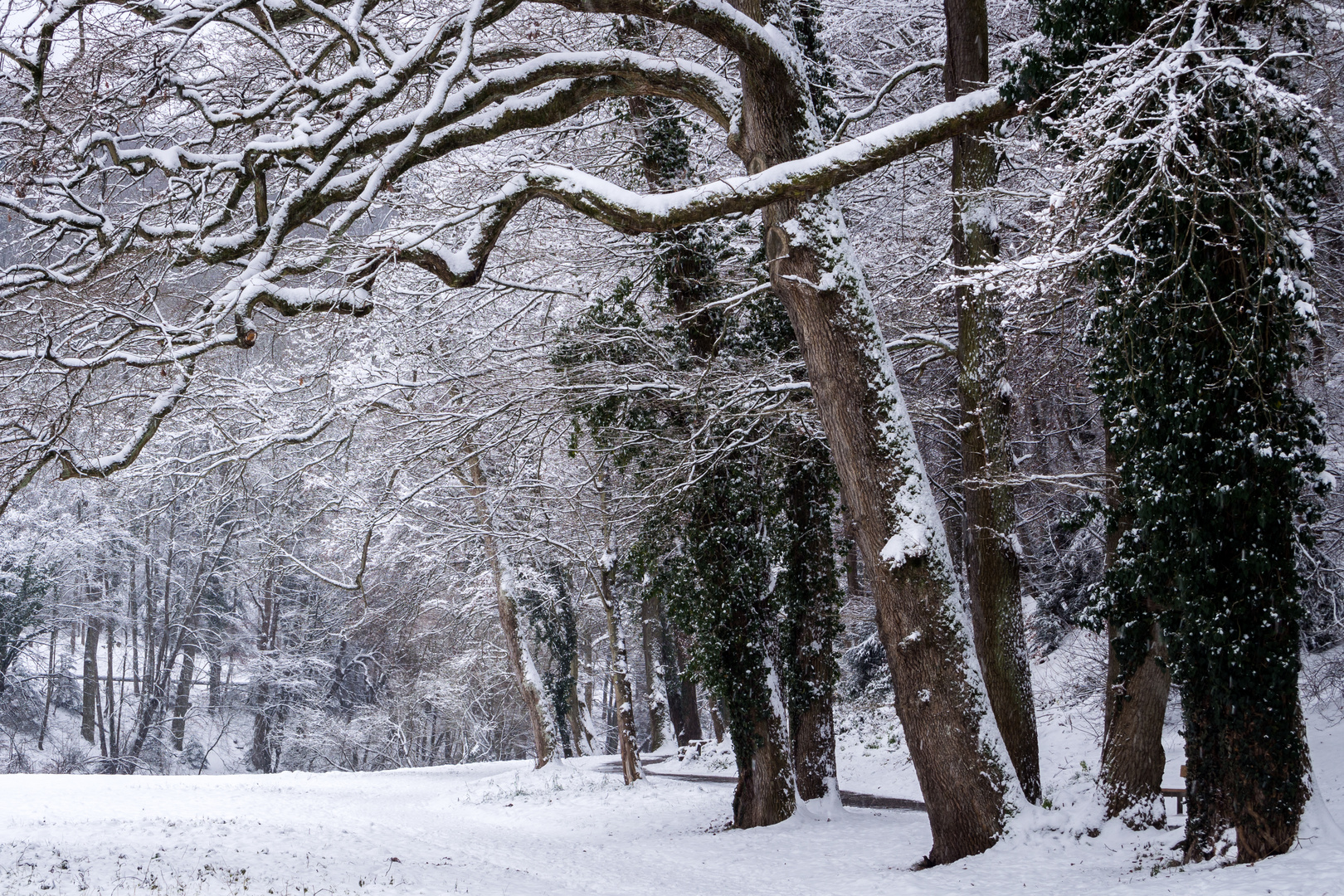 Winterweg