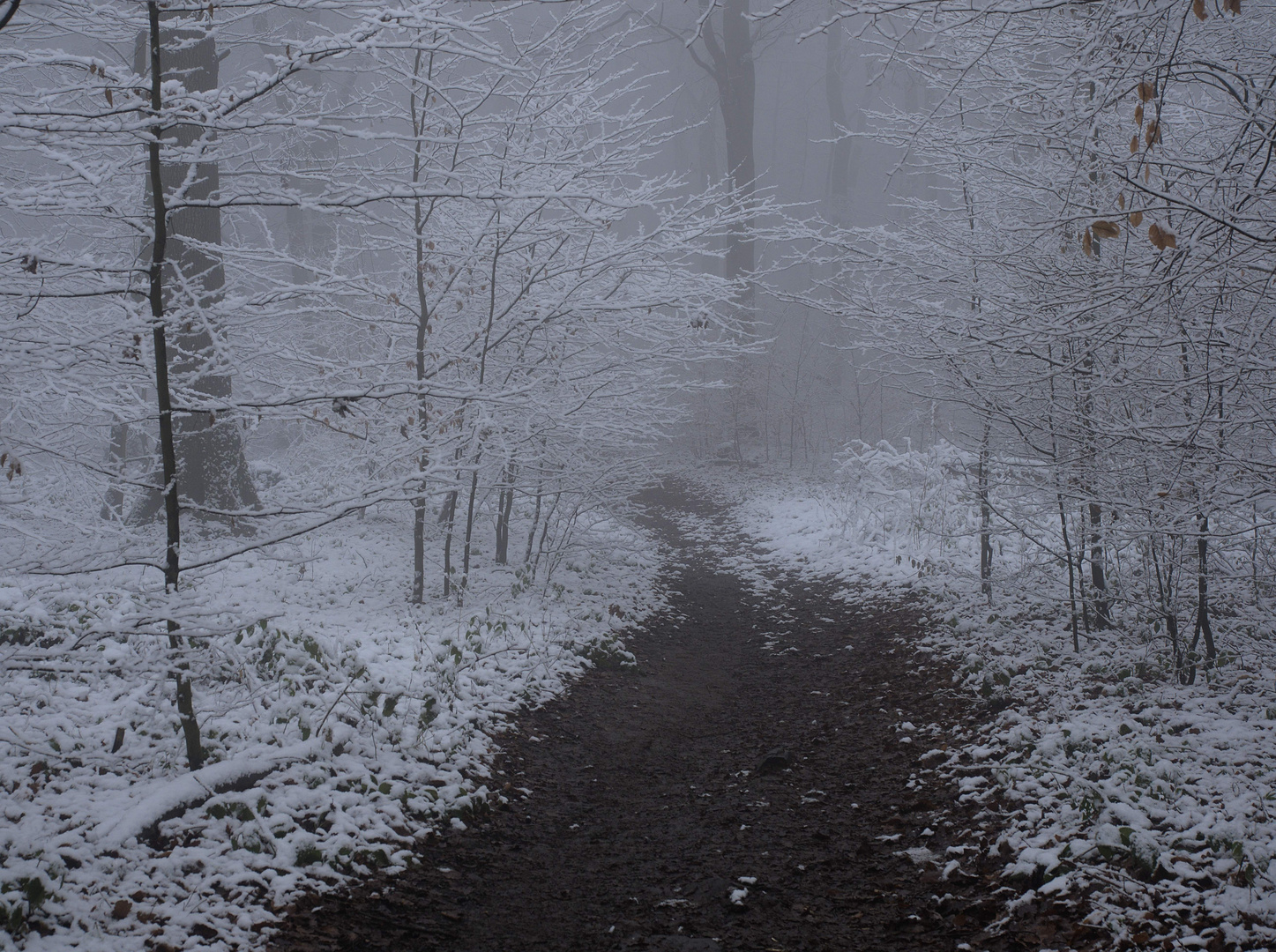 Winterweg beim Abstieg