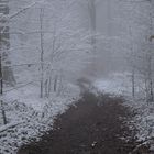 Winterweg beim Abstieg