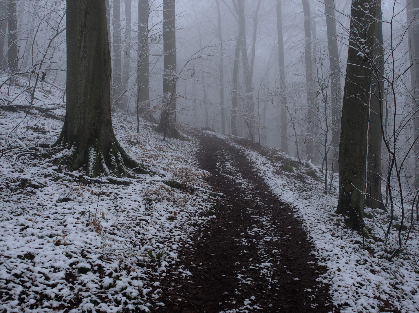 Winterweg beim Aufstieg zum Ölberg