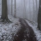 Winterweg beim Aufstieg zum Ölberg