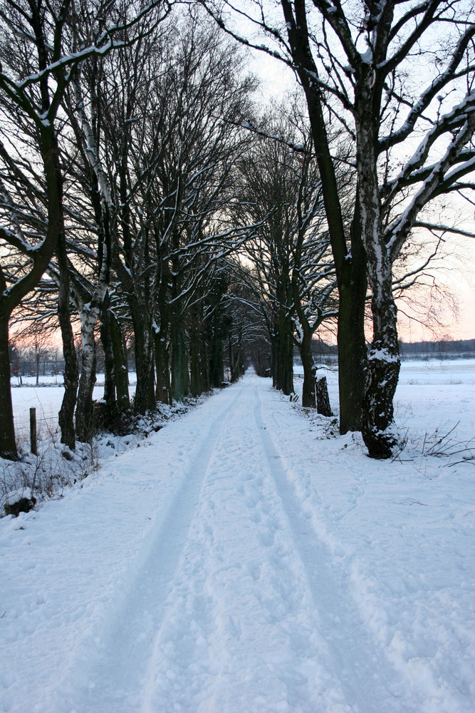 Winterweg!