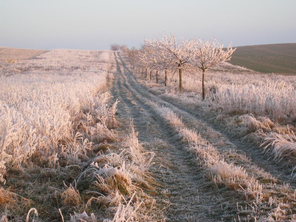 Winterweg