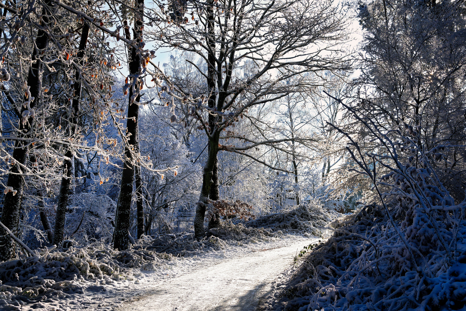 Winterweg