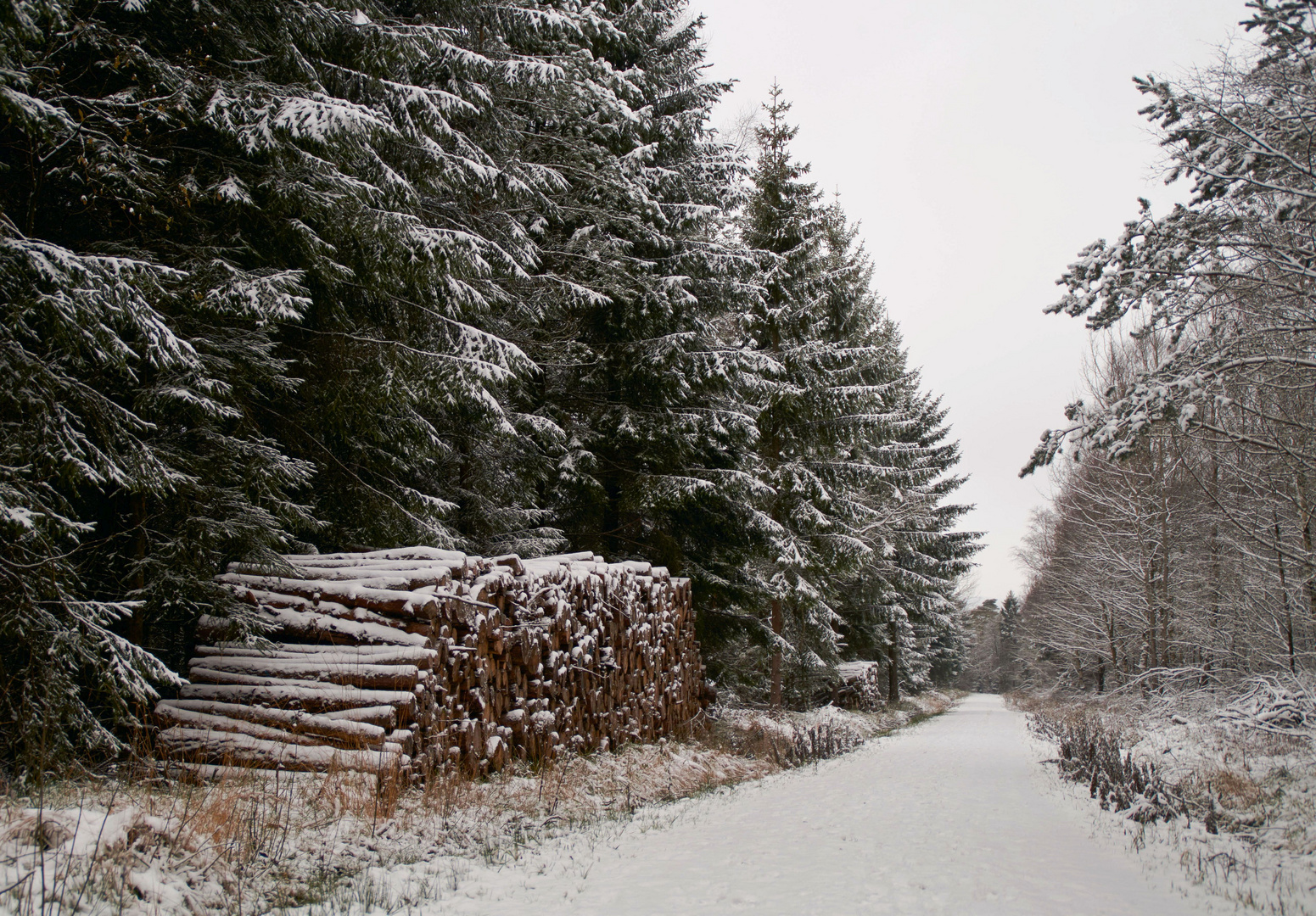 Winterweg